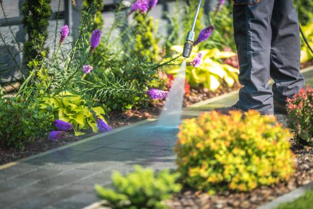 Best Sidewalk and Walkway Cleaning  in Lakewood Park, FL